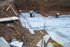 Dcp_1102_small_thumb