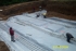Dcp_1107_small_thumb