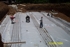 Dcp_1108_small_thumb