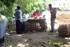 Dcp_1109_small_thumb